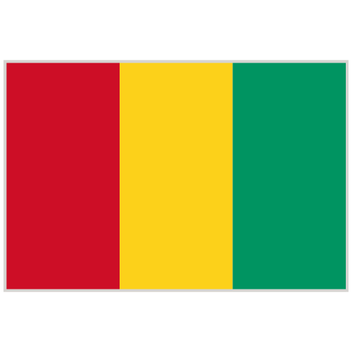 Guinea Flag